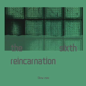 the sixth reincarnation(六度重生)