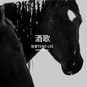 Ranzer-酒歌·GAI（拾壹TENO-LEE remix）