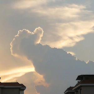 Fight for（Prod by 97Virus）