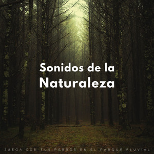 Vínculos Tranquilos De La Naturaleza Y Perros