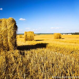 打掌仔-广东话儿歌DEMO