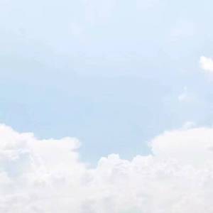 未妨惆怅是清狂