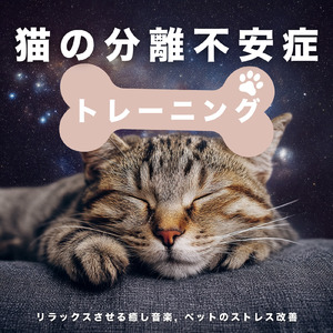 癒し音楽-デジタルデトックス-