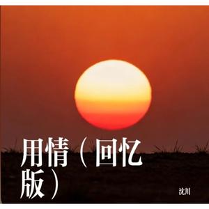 用情（回忆版）沈川