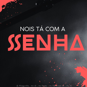 Nóis Ta Com a Senha