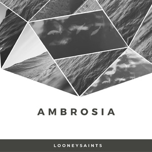 Ambrosia