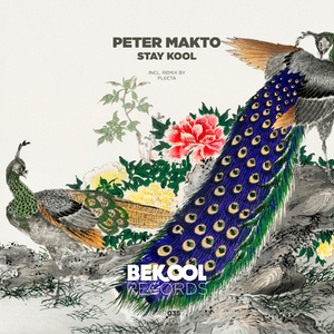 Stay Kool