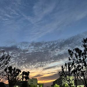 cva_并轨_cbddd6812f9a07eacbc00dd5a1e26767