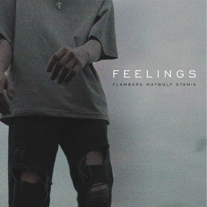 Feelings