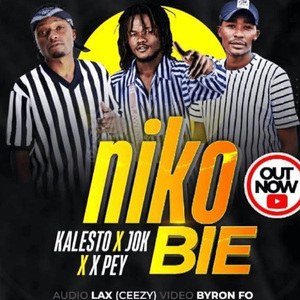 Niko bie