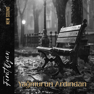Yağmurun Ardından