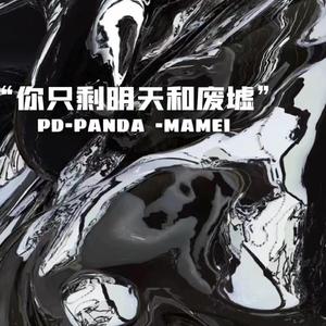 你只剩明天和废墟