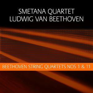 String Quartet No. 11 in F Minor, Op. 95: IV. Larghetto - Allegro agitato