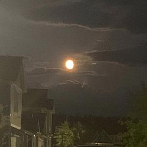 Vamp army (feat. Goldenkshawty)