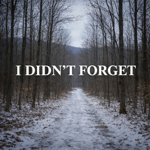 I Didn't Forget
