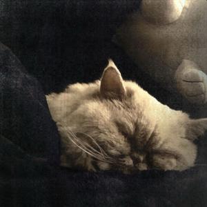 idk what to call this song so enjoy