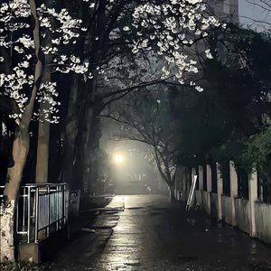 续写遗憾