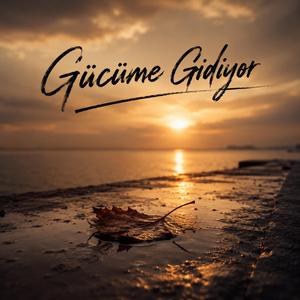 Gücüme gidiyor