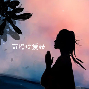 可惜你爱她