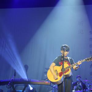 我的女朋友（2016现场哽咽版）