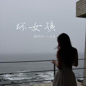 坏女孩（Cover.徐良）