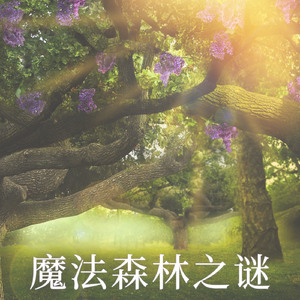魔法森林之谜