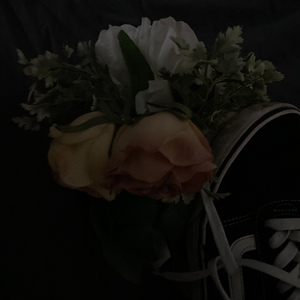 ТИШИНА И ПОЛНОЧЬ