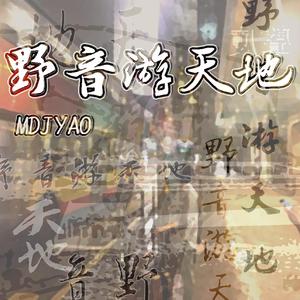 洪钟涛震荡公交