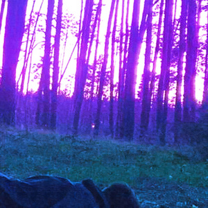 Мы нарисуем