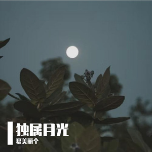 独属月光