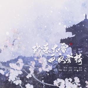 岁暮大雪，白夜登楼
