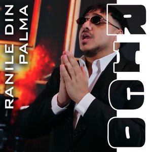 Ranile din palma