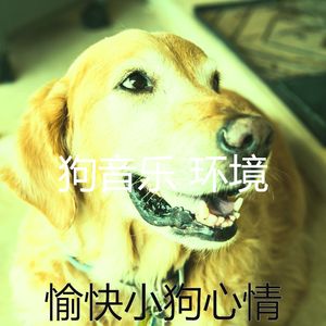 抚慰的小狗回忆