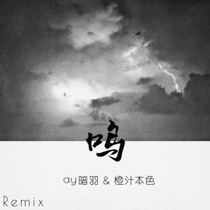 橙汁本色-鸣（DF Remix）（暗羽 / 橙汁本色 remix）