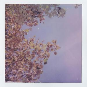 canicula