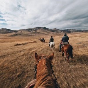 无忧-New Song (21).wav（无知是罪 remix）