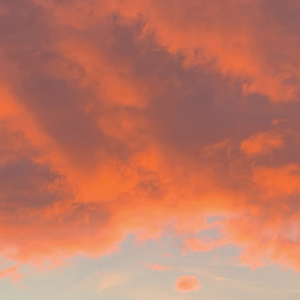 The Wind Is Wild and Free