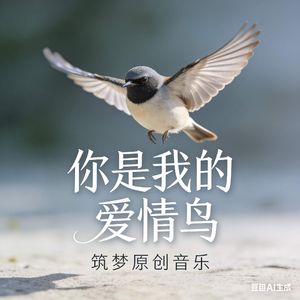 你是我的爱情鸟