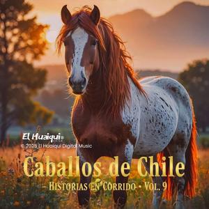 FRENITO CORRAL AMERICANO