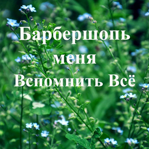 Барбершопь меня