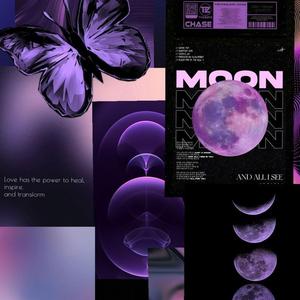 Moody Taipei Lanterns