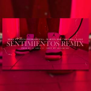 Sentimientos (feat. Seiel, Martin DSB, Sicaria & X.Ele)