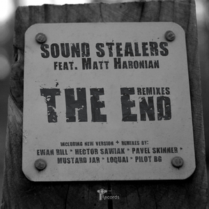 The End feat. Matt Haronian (Sound Stealers New Version)