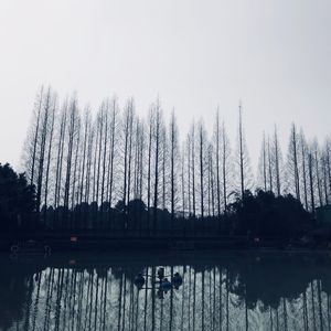 秘密
