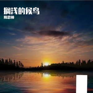 搁浅的候鸟