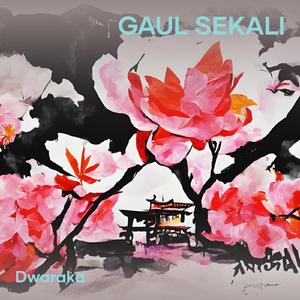 gaul sekali