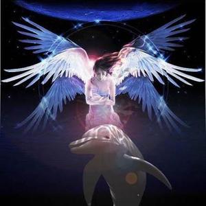 【钢琴】天使与海豚