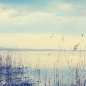 Tenderness in Motion