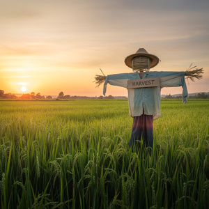 움직이는 공기에 휩쓸려
