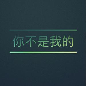 你不是我的